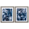 Propac Images Propac Images 3433 Moon Jellies Wall Art - Pack of 2 3433